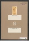 Navicula sp. (de-Toni-Nr.: Genus 1) Zeichnungen Sammlung Grunow Nr. 1541 (NHMW-BOT-W0368242)